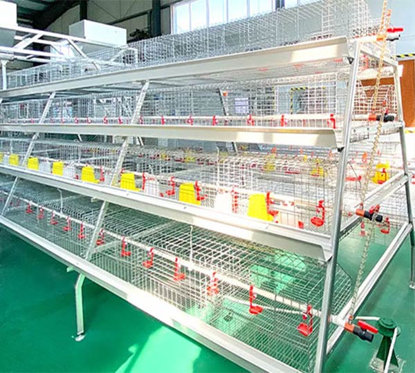 A Type Baby Chick Battery Cages